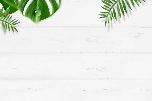 istock Botanical background decorated with tropical image monstera leaves and palm leaves 1393935607