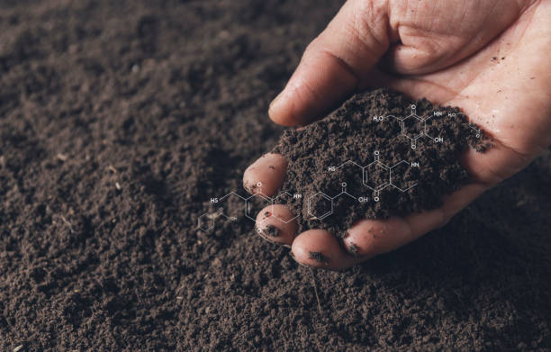 Closeup hand of person holding abundance soil for agriculture or planting peach concept. Closeup hand of person holding abundance soil for agriculture or planting peach concept. handful stock pictures, royalty-free photos & images