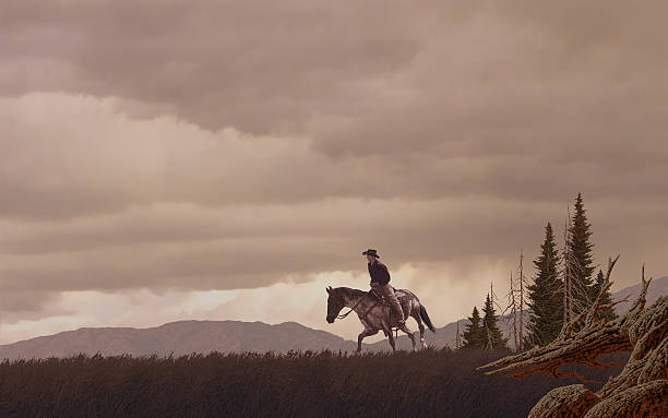 Cowboy in the Rocky Mountains stock photo