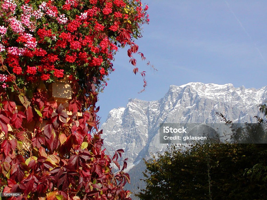 Zugspitz - Foto stock royalty-free di Ambientazione esterna