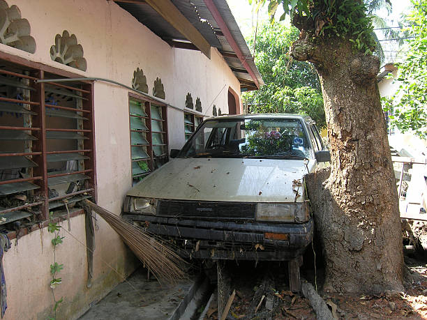 Sandwiched after a natural disaster A car gets sandwiched between a house and a tree during a natural disaster 2004 indian ocean earthquake and tsunami stock pictures, royalty-free photos & images