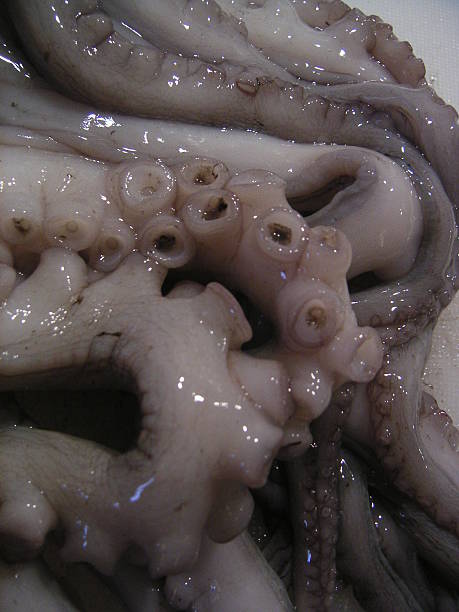 Tentáculos de polvo - foto de acervo