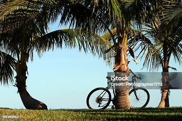 Bicicleta Com Palmas Das Mãos - Fotografias de stock e mais imagens de Azul - Azul, Bicicleta, Ciclismo