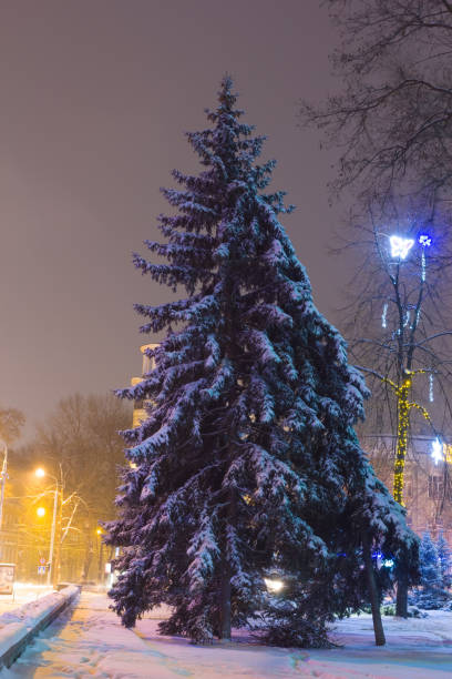 istock night winter town scene 1393942127