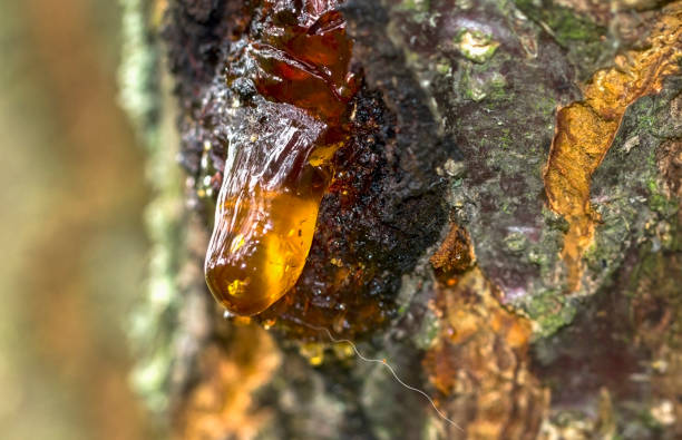 istock Honey-colored resin and a long white resin thread 1393942199