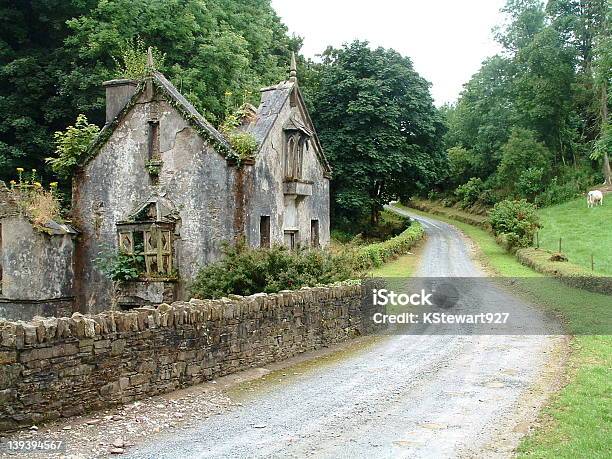 Irlanda Senza Tempo - Fotografie stock e altre immagini di Casa - Casa, Abbandonato, Albero