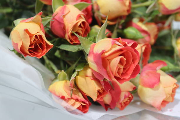 istock Bouquet of rose 1393947457