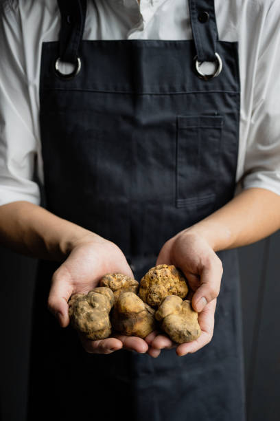 segurando trufa branca italiana nas mãos de um chef - truffle - fotografias e filmes do acervo