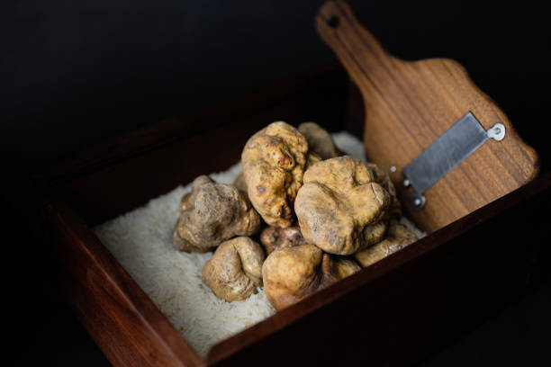 Italian White Truffle with a wooden shaver stock photo