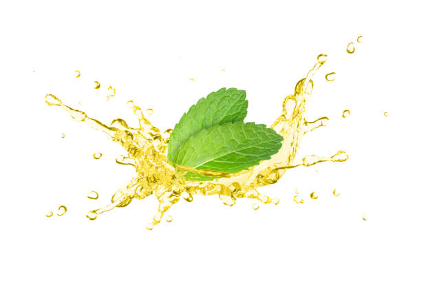 spruzzo d'olio con foglia di menta - mint peppermint water leaf foto e immagini stock