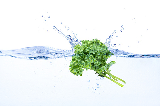 Kale vegetable in water splash isolated on white background.