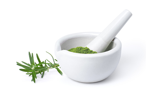 Fresh Rosemary plant with herbal powder in mortar isolated on white background.