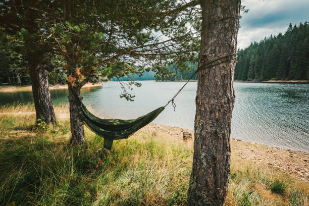 istock Hammock near water with green landscape around 1393959033