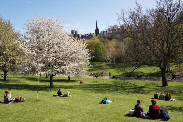 edinburgh - princes street gardens - princes street gardens stok fotoğraflar ve resimler