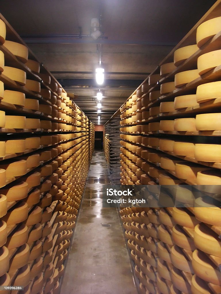 Cheese stores Rows of cheese stored in a cheese factory Abundance Stock Photo