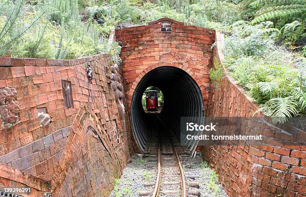 レンガのトンネル - コロマンデル半島のストックフォトや画像を多数ご用意 - コロマンデル半島, シダ, トンネル