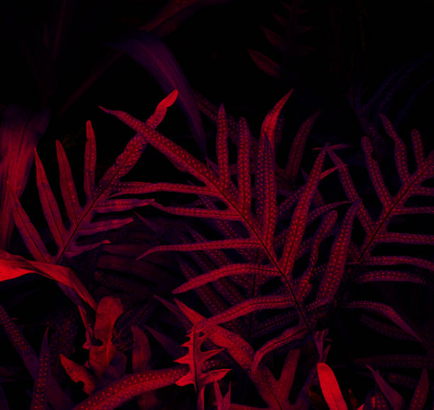 istock Tropical black light glowing leaves. 1393963054