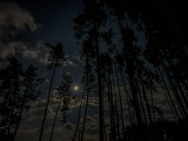 Photo of moon in the sky over the forest during the first full spring