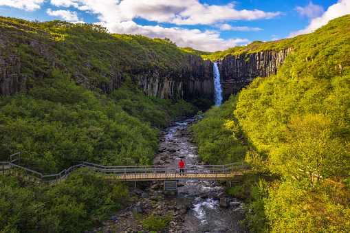 Hiker in red jacket looks at the Svartifoss waterfall in Iceland. This waterfall is also known as Black Falls and it is located in Skaftafell in Vatnajokull National Park. Long exposure.