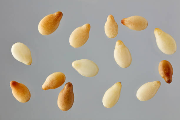 sesame seeds on grey background stock photo