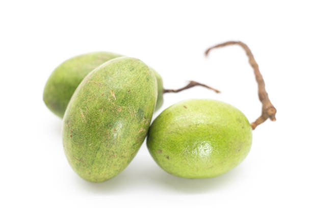 istock olive branch isolated on white background 1393967175