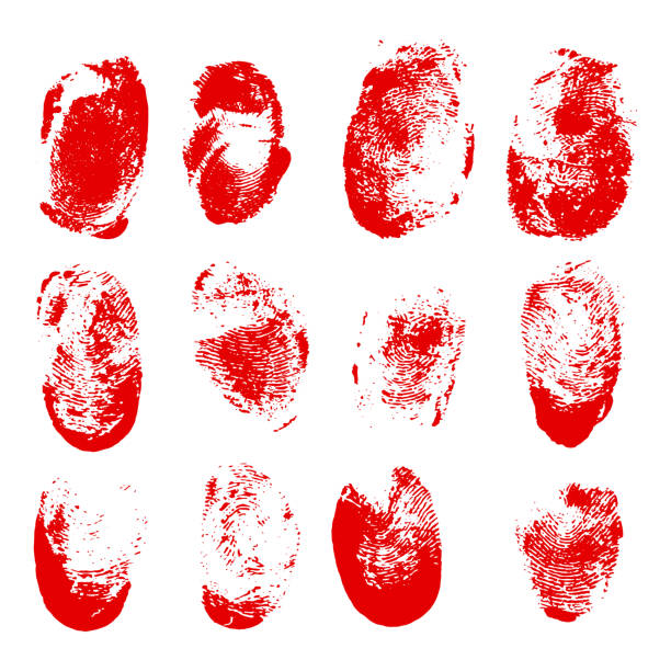 ilustrações de stock, clip art, desenhos animados e ícones de set of blood fingerprints. vector red stains of fingers. - killing