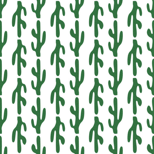 ilustrações, clipart, desenhos animados e ícones de cactos desenhados à mão bonitos padrão perfeito. símbolo mexicano. tema do velho oeste. impressão vetorial colorida desenhada à mão. - abstract backgrounds botany cactus