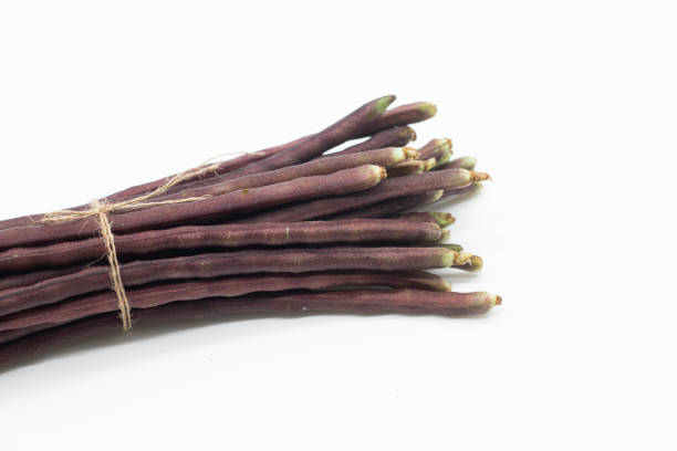 istock red color fresh yardlong bean isolated on white background. 1393971655