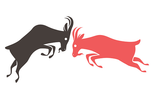 vector illustration of two goats fighting