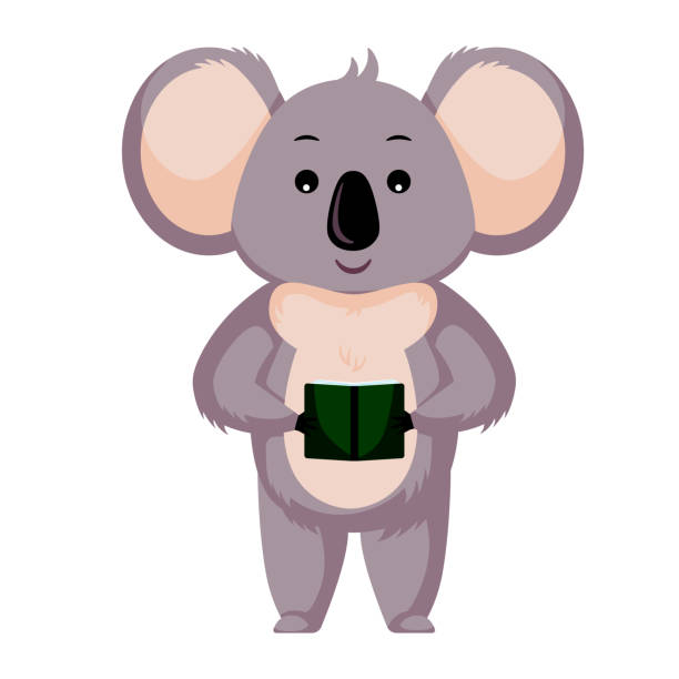 白い背景に隔離されたかわいいコアラ読書本。漫画のキャラクターの学生。 - koala sign australian culture animal点のイラスト素材／クリップアート素材／マンガ素材／アイコン素材