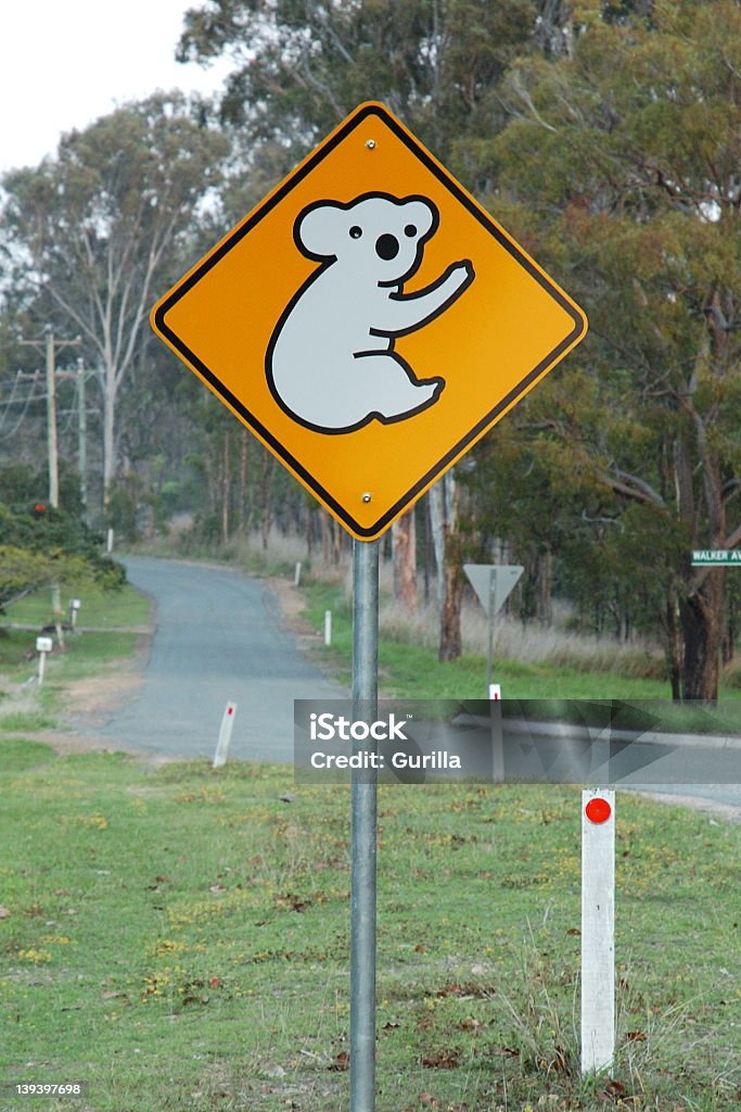Koala Voraus Straßenschild - Lizenzfrei Australien Stock-Foto