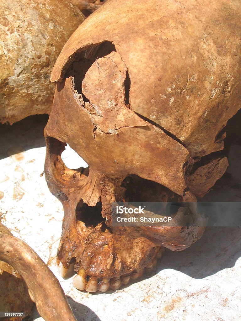 Раздавленный черепа - Стоковые фото Вертикальный роялти-фри