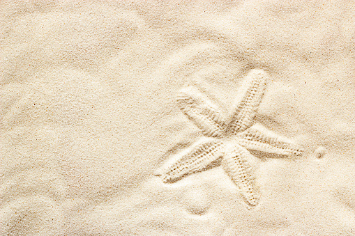 starfish imprint on sandy beach. View from above