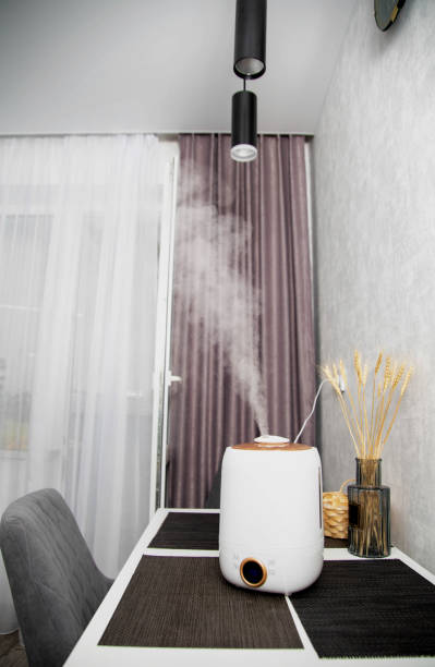 istock A modern humidifier sits on a table in a kitchen room. Humidification in the room, comfortable humidity and temperature 1393978264