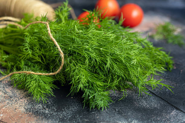 istock Fresh vegetables for salad. Tomatoes and lettuce, cucumbers with zucchini and cabbage with dill. Spring harvest, benefits and vitamins. On a dark background. 1393981486