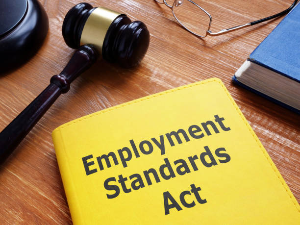 istock Employment standards act is shown using the text on a book 1393983620