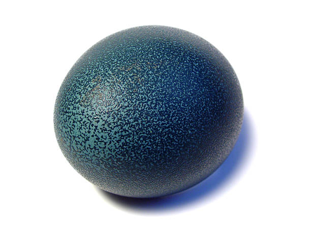 istock Egg of an Emu, Isolated 139398369