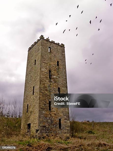 Dimora Di Corvo - Fotografie stock e altre immagini di Spettrale - Spettrale, Canto del gallo, Castello