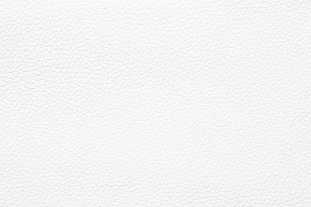 istock white leather texture background. animal skin with natural pattern 1393984345