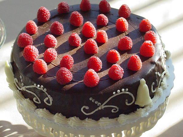 Chocolate Raspberry Cheesecake stock photo