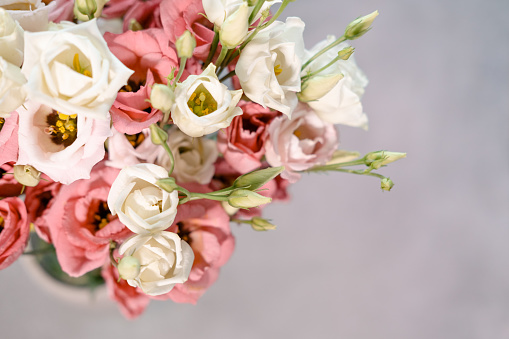 Pink miniature flowers occupy the entire frame space. The concept of congratulations on the holiday. Close-up. Light background.