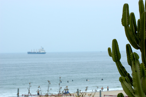 Cargo ship on the background with cactus and the beach on the foreground.
