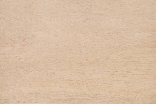 istock Plywood texture background, wooden surface in natural pattern for design art work. 1393986049