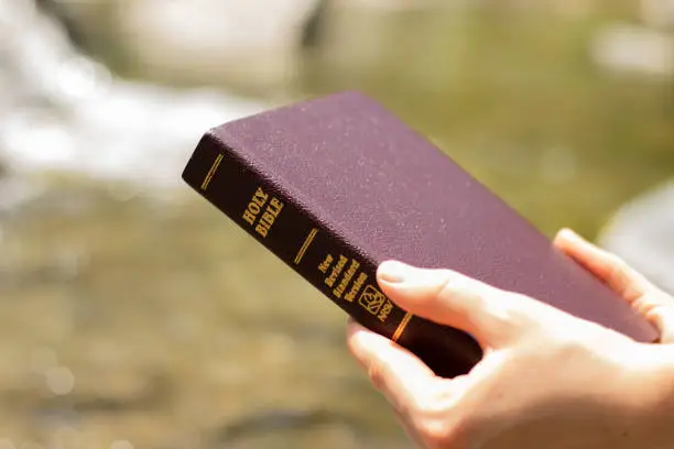 Devoted Christian woman holding Holy Bible Book in nature. A close-up. A faithful girl holds the Word of God in her hands. Reading, studying, praying. Wisdom, trust, faith, hope, love, truth