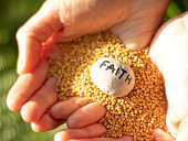 istock Woman hands holding mustard seeds and rock with handwritten word faith 1393986104