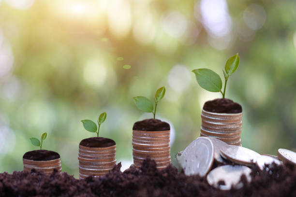 istock Money dollar coin stack growing graph with green bokeh background,investment concept.tree growing on coin,Business Finance and Save Money concept 1393986636