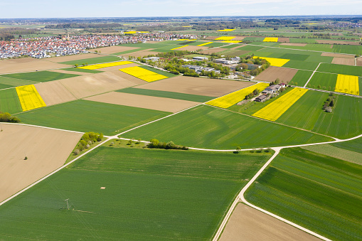 Aerial view of a patchwork landscape with yellow canola fields and houses.