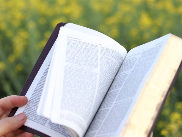 Woman reading Holy Bible Book and turning pages in nature with green and yellow flowers Woman read Holy Bible Book and turn pages in nature with green and yellow flowers. Read God's Word for wisdom and guidance in life. A close-up. bible open stock pictures, royalty-free photos & images