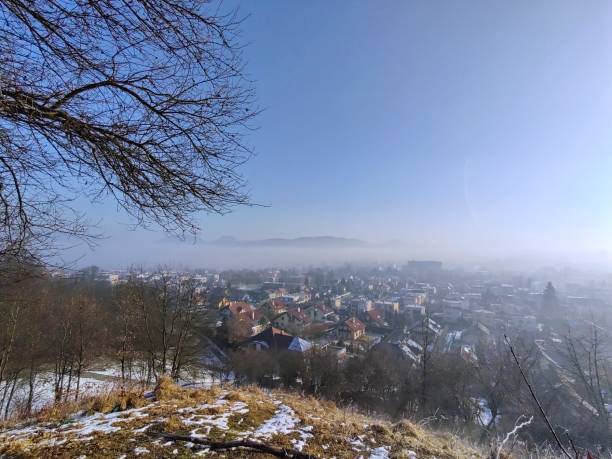 istock Mist in the forest. Sunrays behind the trees. 1393988072