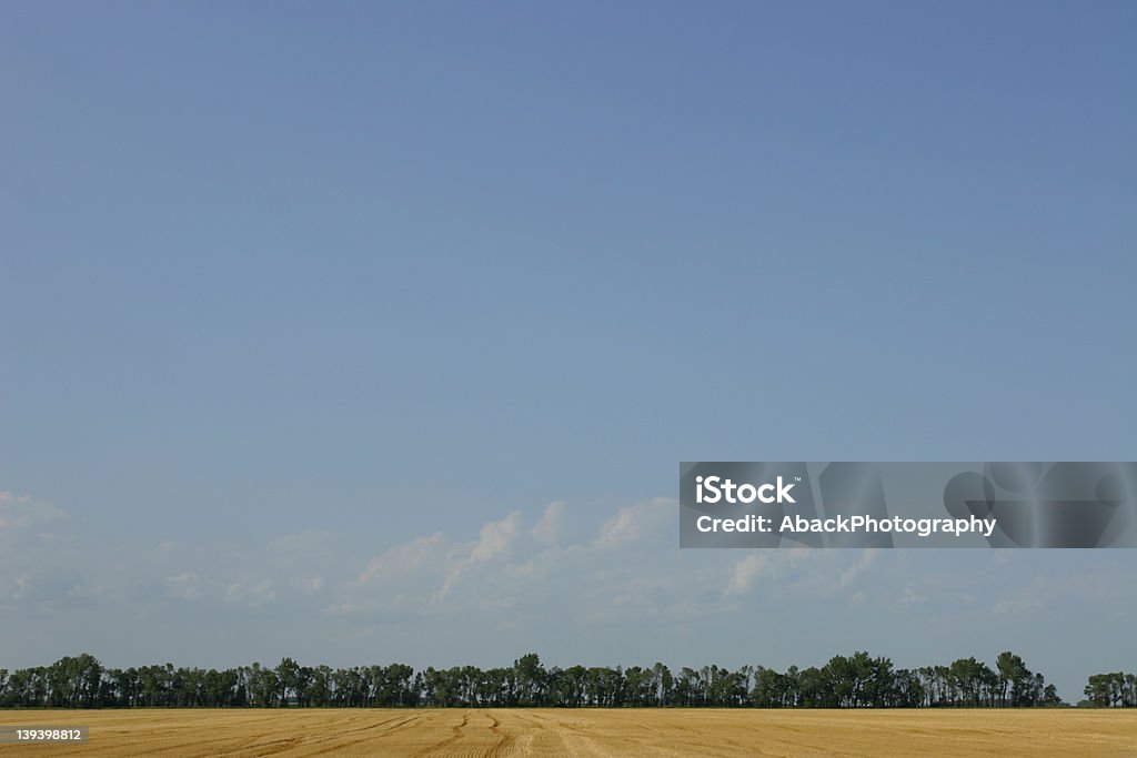 Big Sky - Foto de stock de Aire libre libre de derechos